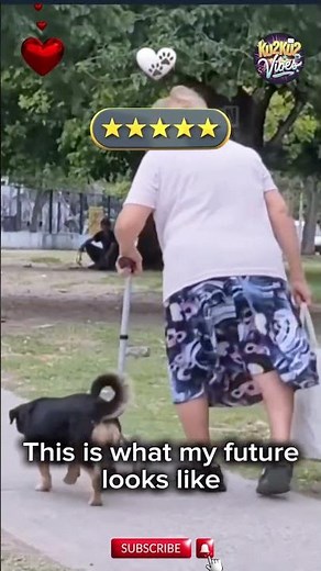 Dogs Loyalty To Its Owner – A Heart Touching Story