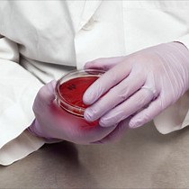 Video: A Reference Broth Microdilution Method for Dalbavancin In Vitro Susceptibility Testing of Bacteria that Grow Aerobically