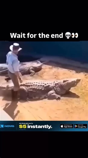 Women Caught Getting on Instagram: "You might assume this video shows a real moment where danger turns harmless. That assumption is wrong. The harmless ending is artificially created. The source is edited footage using AI motion synthesis. Early frames show a realistic wildlife threat. Animal posture and speed appear natural initially. The ending introduces synchronized dancing. Biological movement becomes unrealistic. AI edits can hide the real risks shown earlier. The final scene is not real. 