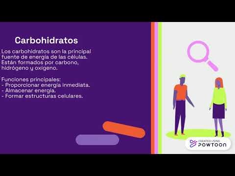 Code of Conduct and Ethics