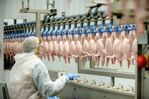 Perdue Farms announces plant closure and layoffs in Tenn. | AGDAILY