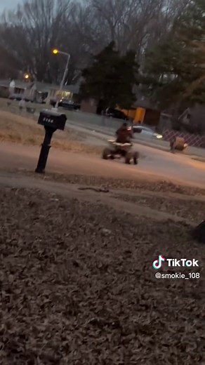 #yahmaha #banshee350 #banshee #motorcycle #4wheeler #dounts #yamahabanshee #yamahabanshee350 #bansheessquad #bansheetiktok #bansheelife #banshee #fun #racing #quadracing #4strokepower #wheelie #power