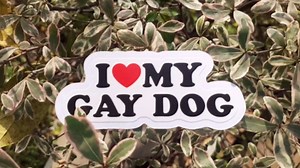 3Pcs I Love My Gay Dog Stickers, 2 Inches