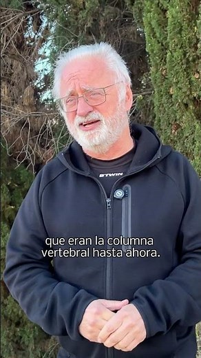 Pinos, eucaliptos y acacias «invaden» los bosques mediterráneos y amenazan su futuro