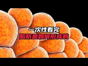 脂肪燃烧的终极秘密！看完这3个代谢诀窍，我终于知道为什么瘦不下来了！| 脂肪代谢 | 科学健身 | 让脑洞飞一会