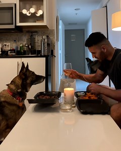 565K views · 21K reactions | The perfect date night! 率壟 | Furry Tails | Facebook