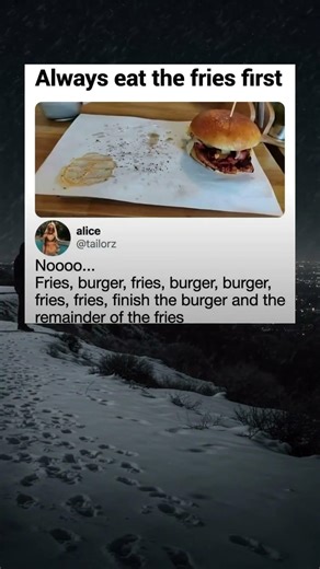 Fries and burger #dailymemestv #funny #memes