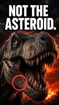 SUE the T-Rex's Painful Last Day #realstory #shortfilm