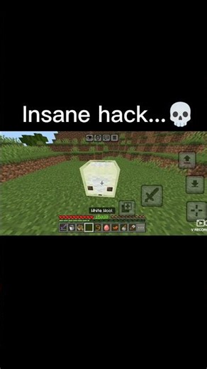 The New Best Way To Fly Without Elytra! 🤯🐷