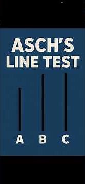 Asch’s Line Test Key Study PAPER 2 Psychology GCSE AQA Short #psychology #aqagcse