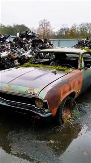 From Rust to Legend: 1969 Nova SS Full Restoration