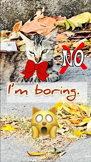 What? You’re Boring?