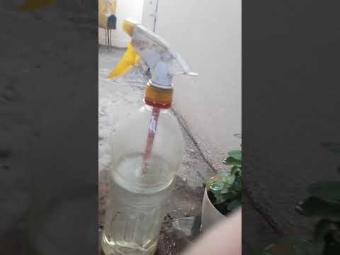 Now my Mini Garden is upgraded into a large Garden