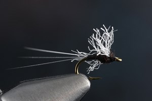How to Tie a Trico Spinner Fly: Step-By-Step Guide - Fly Fisherman
