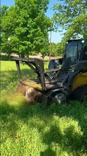 Forestry Mulcher Operation E Erasing Dense Trees in Seconds