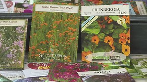 Proctor's Garden: Set your seed starting schedule