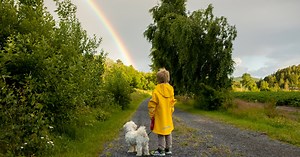 Así ven el mundo los perros