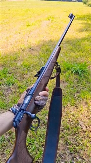 150 meters with iron sights! CZ 457 Lux #22lr #shorts #shortsfeed #cz457 #boltactionrifle