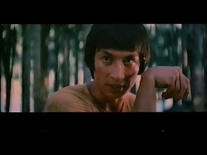 Snake In The Monkey's Shadow (1979) Classic Kung-Fu Movie - free full film