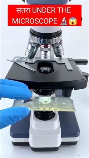 संतरा under the microscope video 🔬😱#sorts #youtube #video