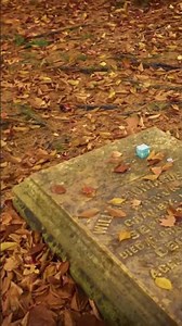 incredible 👌 spirit box session 👏 at haunted 👻 Cemetery Michigan #shorts