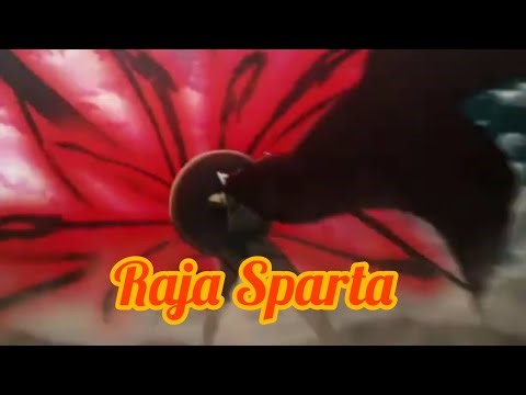 Lancer Leonidas Vs Avenger Gorgon (Full Fight) | FGO Anime