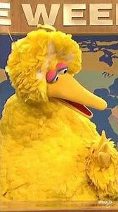 Best Muppet References on SNL