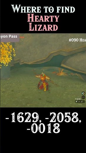 Where to Find Hearty Lizard | #Zelda Tears of the Kingdom #totk