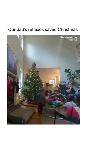 MEMEZAR • MEMES & MEME-CULTURE on Instagram: "Dad: 1, Tree: 0 Whether they are real or artificial, full or a little lopsided, Christmas trees exist to bring warmth into a space during the coldest time of year. They become a quiet centerpiece for lights, memories, and routines that only happen once a year. Over time, the tree absorbs meaning far beyond how it looks. It marks the season slowing down, people gathering, and small traditions repeating themselves, even as everything else keeps changin