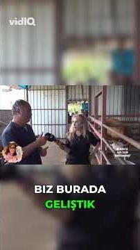 🐄 Bir İnek Günde Kaç Litre Süt Veriyor? 🥛 Bu Hesabı Duyunca Şaşıracaksınız! #shorts #mersin