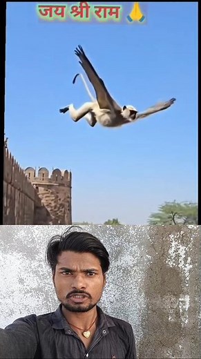 #Timelapse, start to finish alone build log cabin (wooden house), how to build wooden cabin, surviva