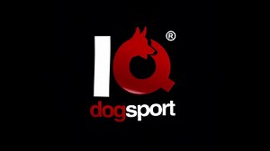 Border Collies - manchmal fragt man sich, was sie eigentlich NICHT können! Schafe in einem Affentempo gruppieren, sortieren und treiben, nach Frisbees 🥏 meterhoch in die Lüfte springen, man sieht sie beim Dog dancen, Agility und sogar im IGP Sport von Zeit zu Zeit! Eine absolut faszinierende Rasse! Zeigt sie her und welchen Sport ihr mit diesen Undercover Agenten betreibt! Border Collies - sometimes you wonder what they CAN'T do! Herding sheep at breakneck speed, grouping, sorting, and driving 