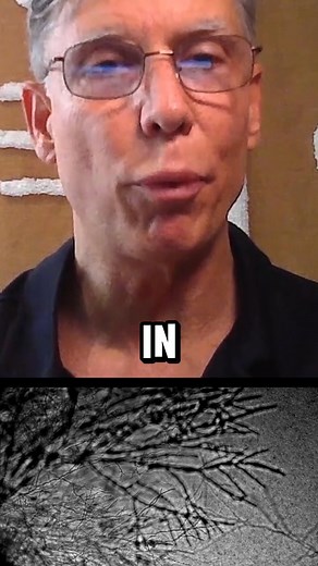 1K views | There’s never been a whole-food protein powder like this. When we compared MycelPro-1™ to leading animal and plant proteins, it delivered more essential and branched-chain amino acids per gram, plus naturally occurring nutrients that others can’t match: spermidine, chitin, and chitosan. This is nutrition beyond categories: whole-food, complete, and built for performance, recovery, and longevity. Meet the new gold standard in whole-food protein. | Clean Machine | Facebook