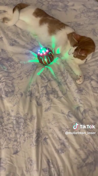 Exploring Grief and Superhero Villains - Scorpion Marvel Powers, Harley Quinn Tattoos, Batman vs. Joker