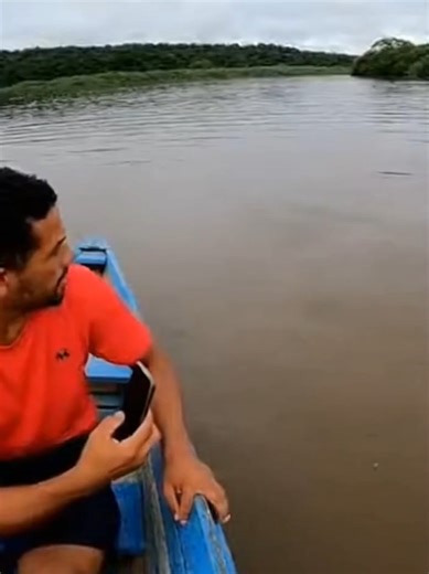 Arapaima: The Giant Fish of the Amazon