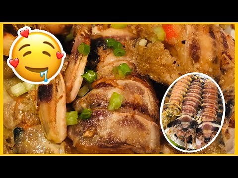 Easy Mantis Shrimp
