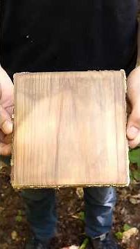 Making bulletproof-er wood