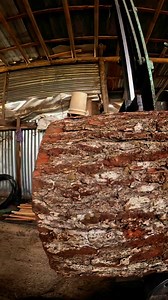 4.1K views · 42 reactions | The expert operator guides the log into the saw carefully | Sawmill & Woodworking | Facebook