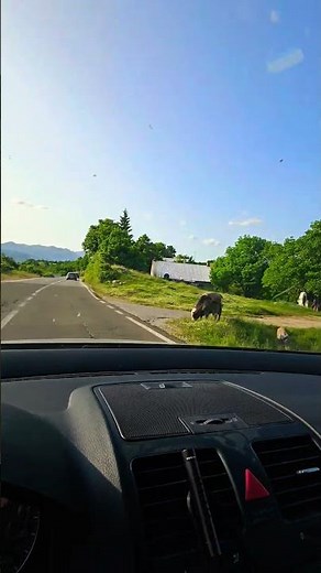 Driving Montenegro’s Hidden Roads | Real Travel