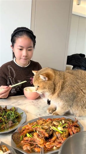 In ancient times there were roadblocks now there are vegetable blocks. Is it easy for a ca