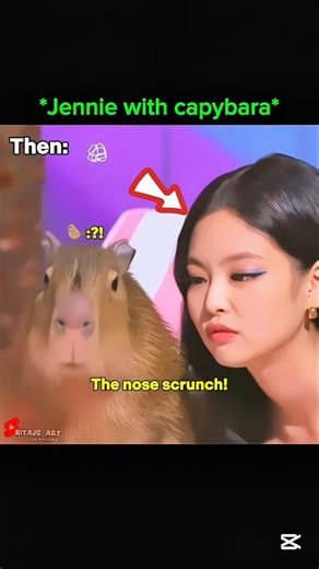 Capybara admiring Jennie..🤩❤️ #blackpink #shorts #viral #trending #jennie #capybara #edit #fyp