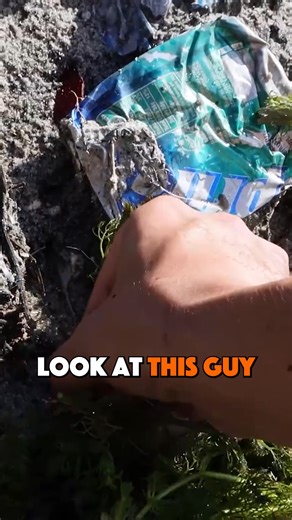 This Crawfish Is Tiny and Adorably Cute 😱 #PollutedTunnel #AquariumFish #CrawfishHunt #OutdoorAdventure #NatureExploration #ColorfulCrawfish #FishingVlog #WildlifeDiscovery #EcoChallenge #UnderwaterSurprises | Rob’s Aquatics