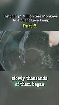 I Hatched 1 Million Sea Monkeys In A Giant Lava Lamp 😳 Part 7 #seamonkeys #brineshrimp #lavalamp