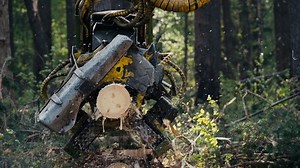 Close Log Processing By Heavy Harvesting Stock Footage Video (100% Royalty-free) 1081742234 | Shutterstock