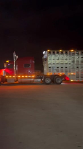 Good sale today, cattle heading out across the good ol USA!🇺🇸. A big thank you to all the buyers and sellers! | Jordan Cattle Auction