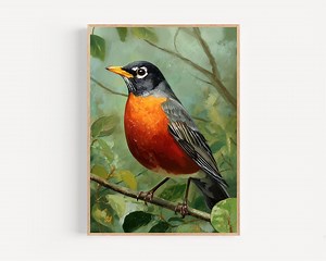 American Robin Watercolor Print Framed Poster or Canvas Minimalistic American Robin Garden Birding Birdwatcher Gift Idea Wall Art - Etsy