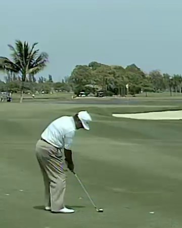 What a shot (& celebration) from Lee Trevino! #SrPGAChamp | #TopShotTuesday | Senior PGA Championship