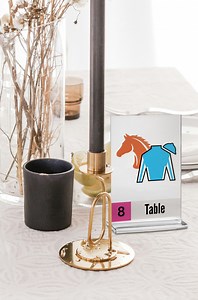 Personalized Racehorse Jockey Silks Table Sign: Custom Derby Party Decor (digital Printable) - Etsy