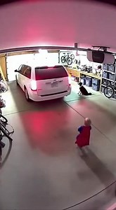 77K views · 402 reactions | Security Cam Records Dog Dragging Child...