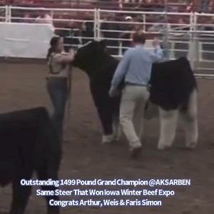 34K views · 544 reactions | Congrats To All @ AKSARBEN Livestock Show In Nebraska | Matt Lautner Cattle | Facebook